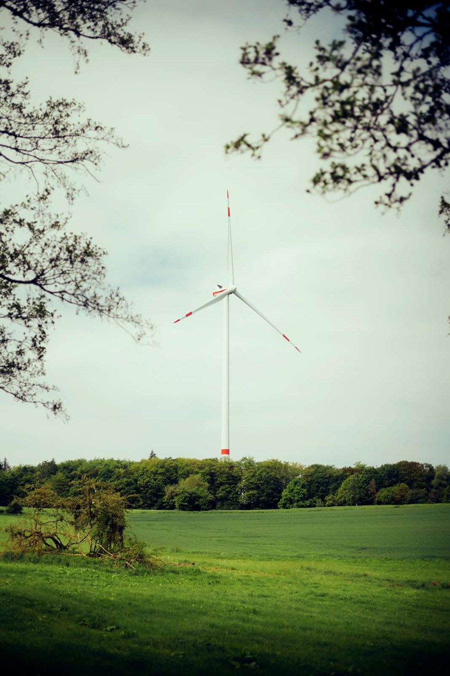 JBN EUROWIND ELBENROD 00714 1600Px (2)